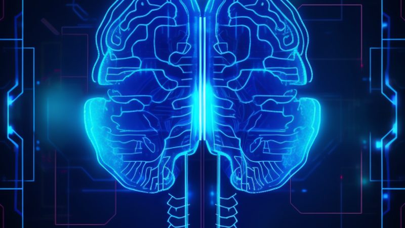 大模型私有化部署：关键步骤与注意事项**